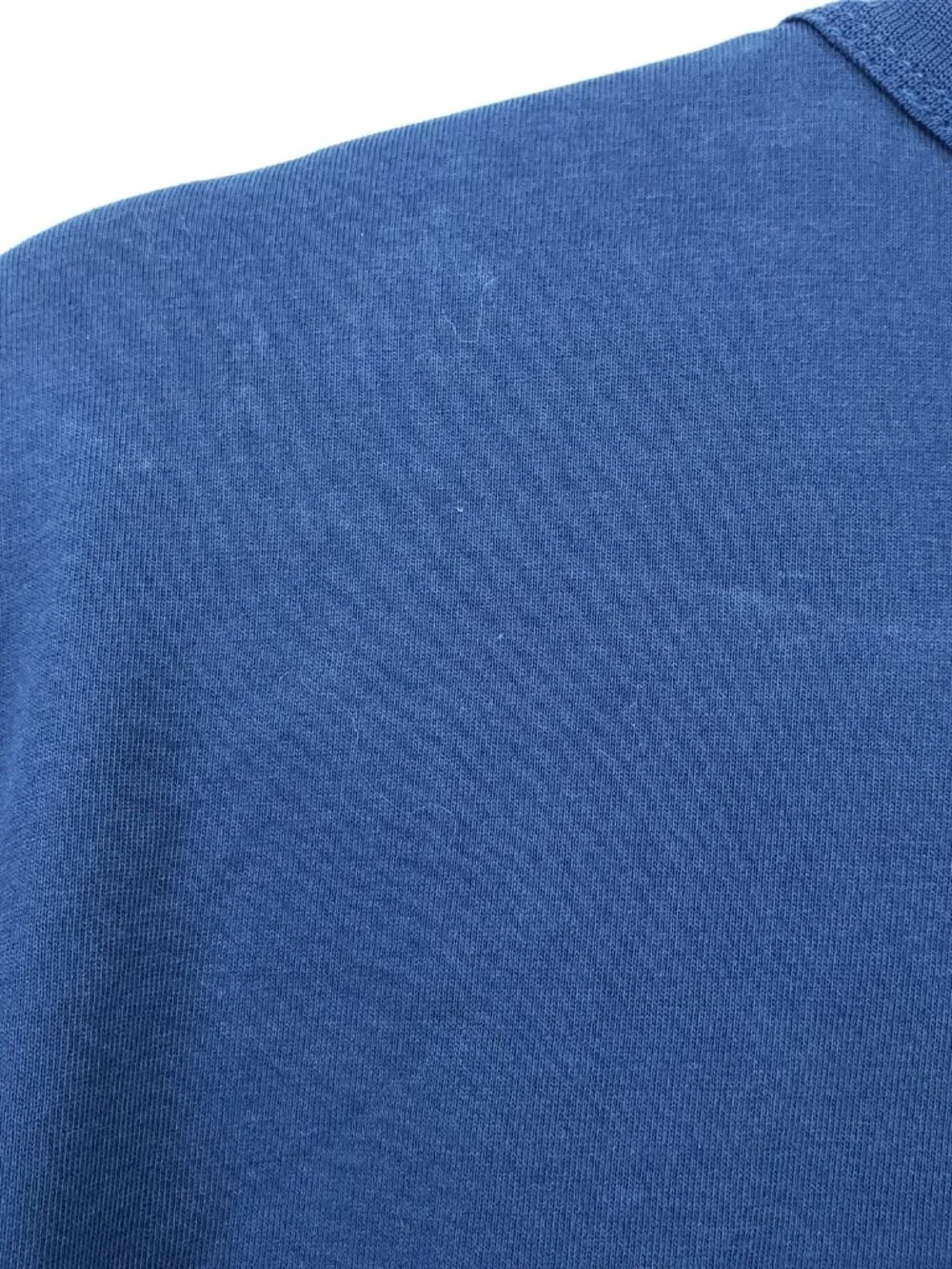 The North Face Mens Blue Himalayan Poppies Long Sleeve T-Shirt Nature Size Large